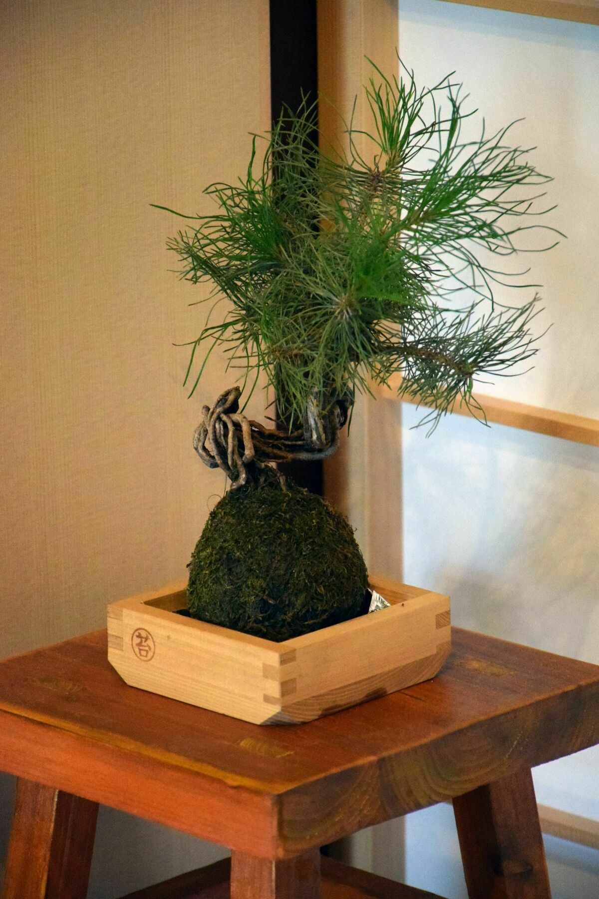 Guesthouse Hanamiya Kyoto Exterior photo